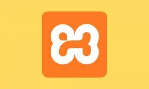 download install xampp