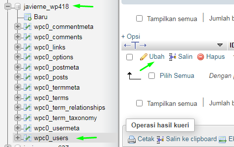 Settingan Dasar WordPress